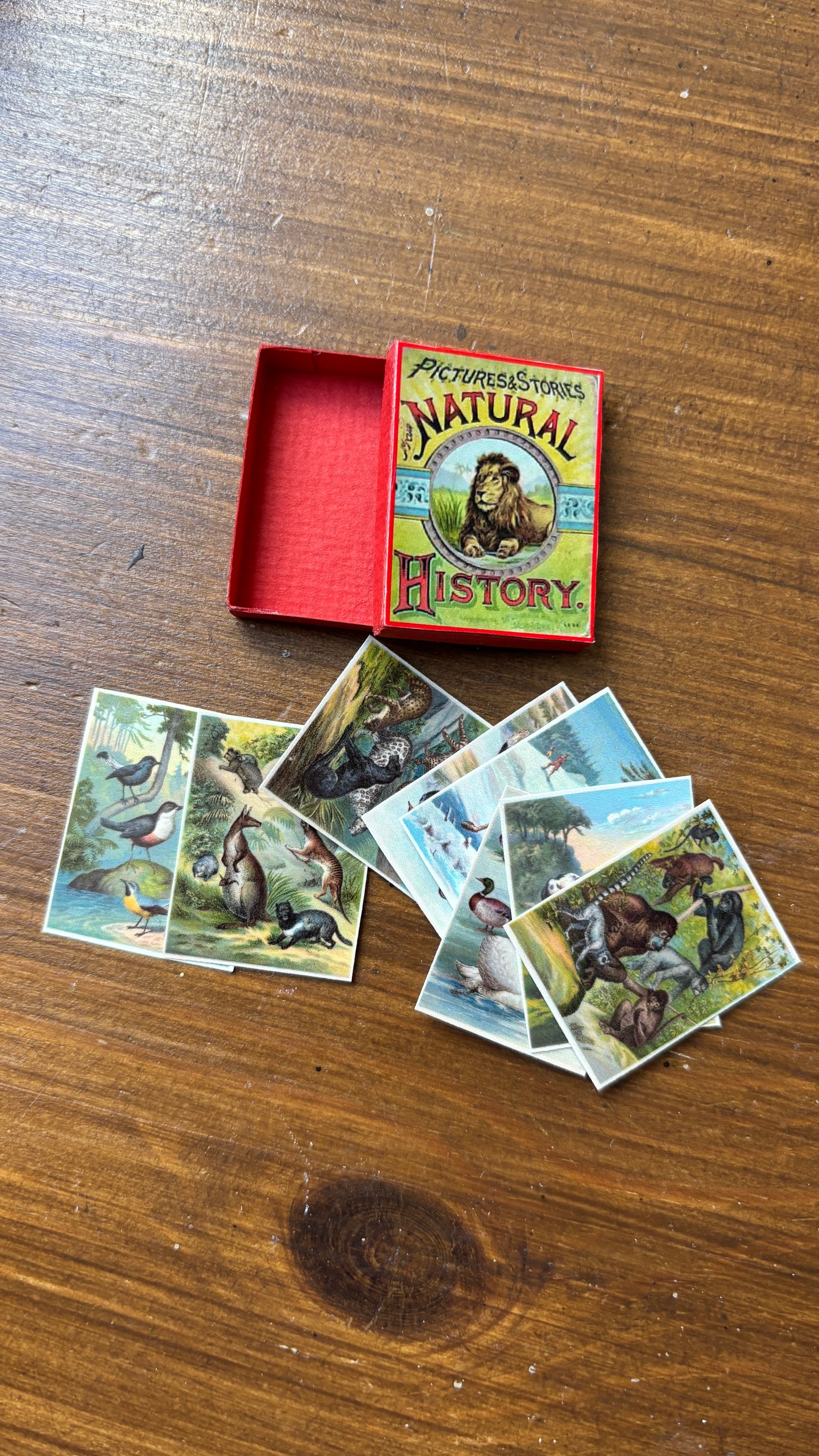 Natural History game