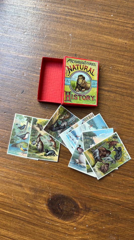 Natural History game